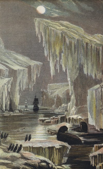 The Erebus and Terror in the Arctic Regions by English School